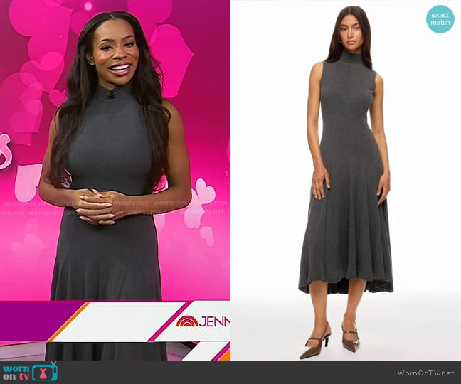Peter Som Sleeveless Mock Neck Knit Dress worn by Devyn Simone on Today