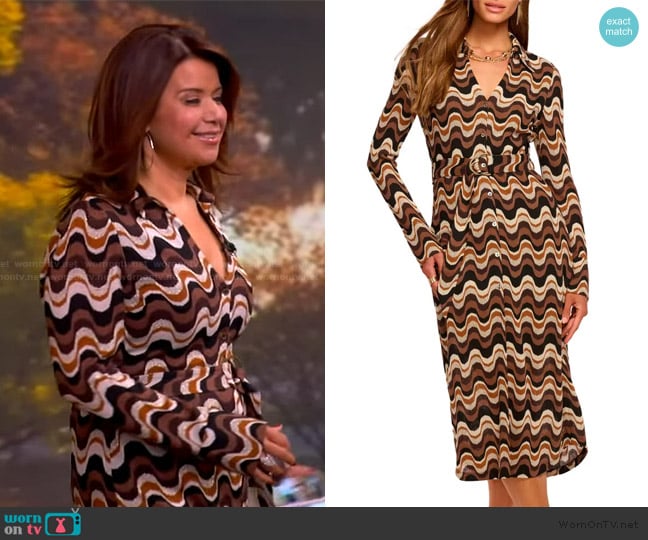 Ramy Brook Lydia Wavy Stripe Long Sleeve Sweater Shirtdress worn by Ana Navarro on The View