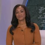 Brittany’s brown ribbed cardigan dress on Good Morning America
