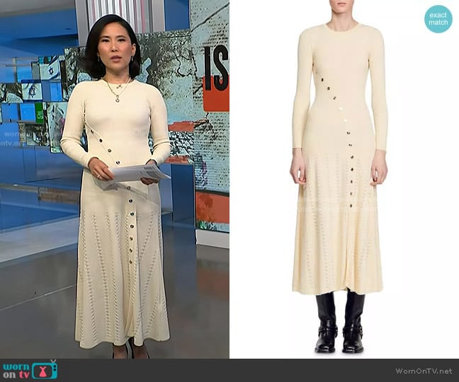 Sandro Jared Button Detail Midi Dress worn by Vicky Nguyen on NBC News Daily