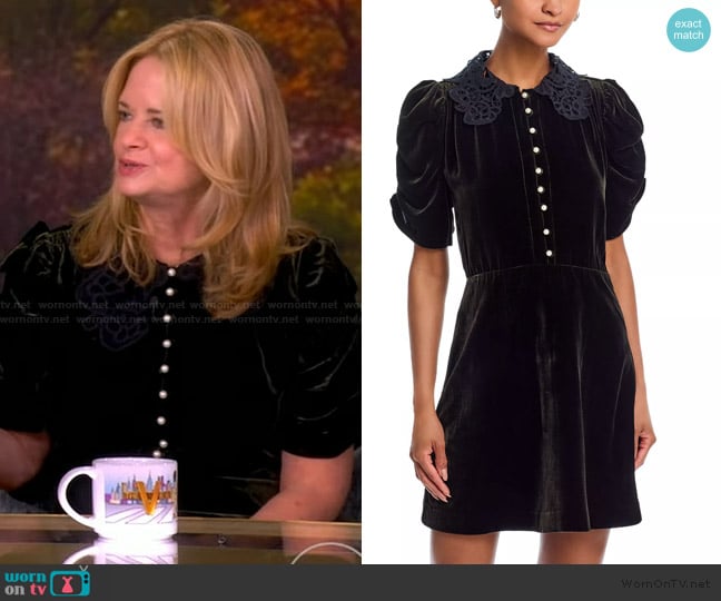Sea Norabelle Short Sleeve Velvet Mini Dress worn by Alison Brown on The View