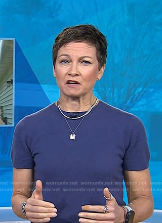 Stephanie’s blue short sleeve sweater on Today