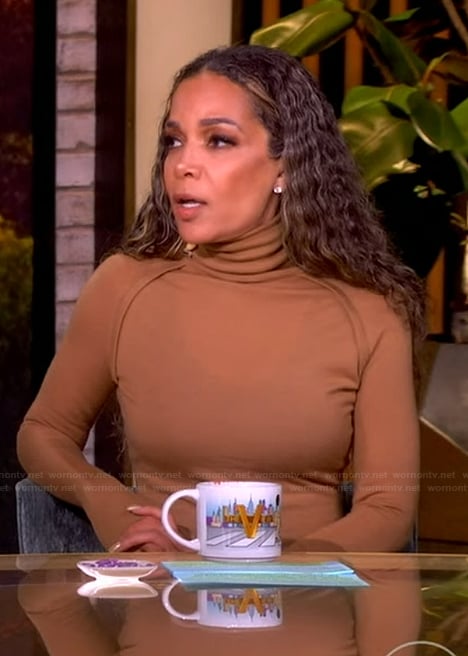Sunny's brown turtleneck sweater on The View