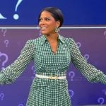 Tamron’s green gingham check dress on Tamron Hall Show