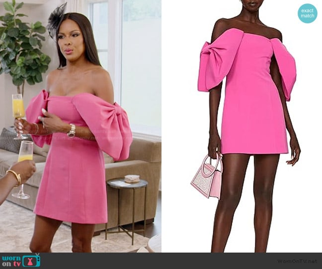 Toccin x RTR Collective Bow Sleeve Mini Dress worn by Stacey Rusch on The Real Housewives of Potomac