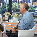 Tom Papa’s colorblock sneakers on Today
