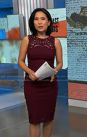 Vicky’s burgundy embroidered sheath dress on NBC News Daily