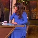 Alyssa’s blue polo dress on The View
