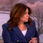 Ana’s blue pinstripe blazer on The View