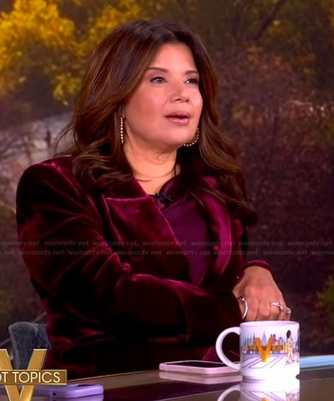 Ana’s burgundy velvet blazer on The View
