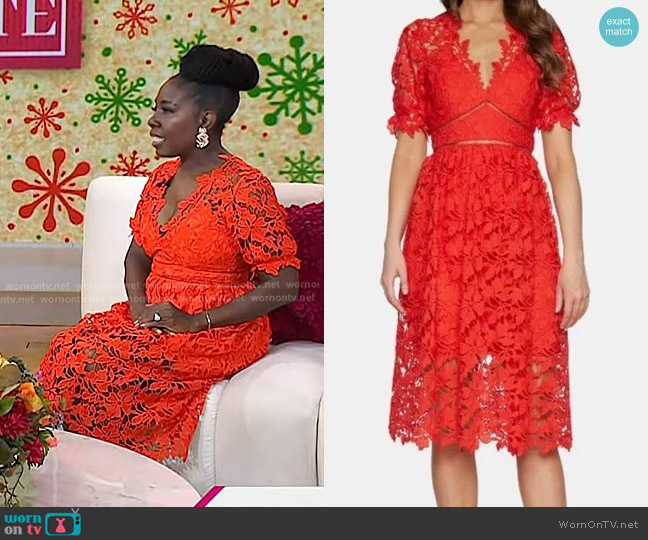 Bardot Fit and Flare Lace Dress worn by (Elaine Swann) on Uncategorized