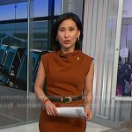 Vicky’s brown belted dress on NBC News Daily
