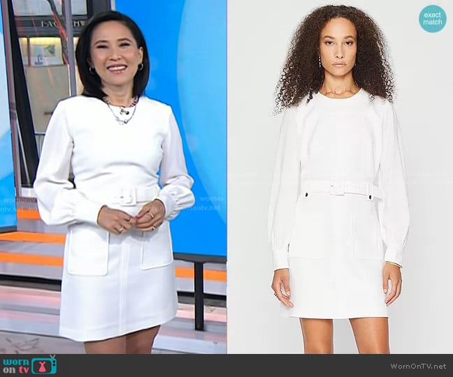 Club Monaco Long Sleeve Belted Pocket Dress worn by Vicky Nguyen on Today