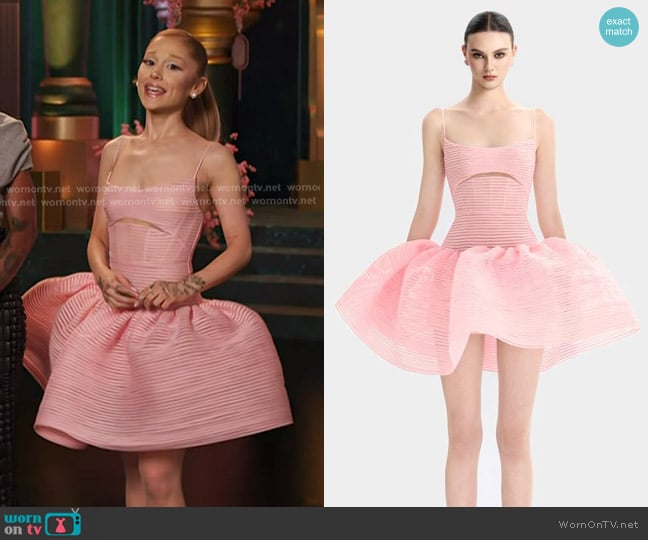 Cong Tri Chiffon-Striped Tulle Mini Dress in Pink worn by Ariana Grande on The Voice