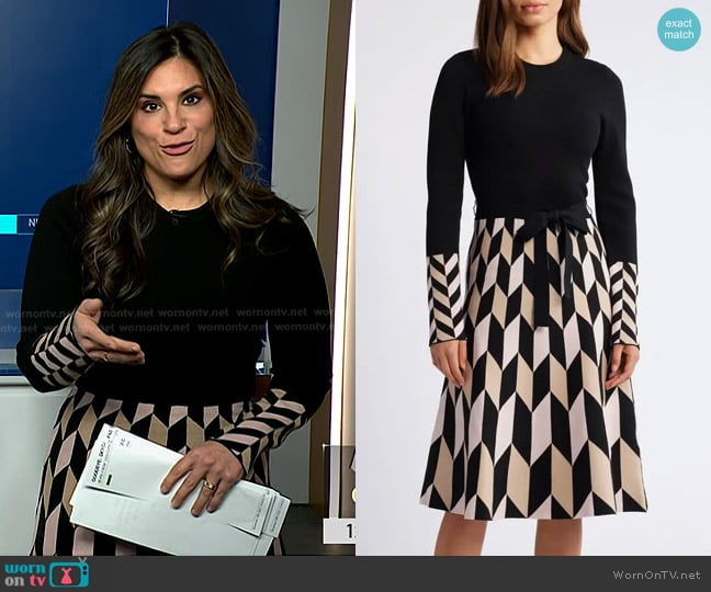 Eliza J Fit & Flare Long Sleeve Sweater Dress worn by Natalie Pasquarella on NBC News Daily