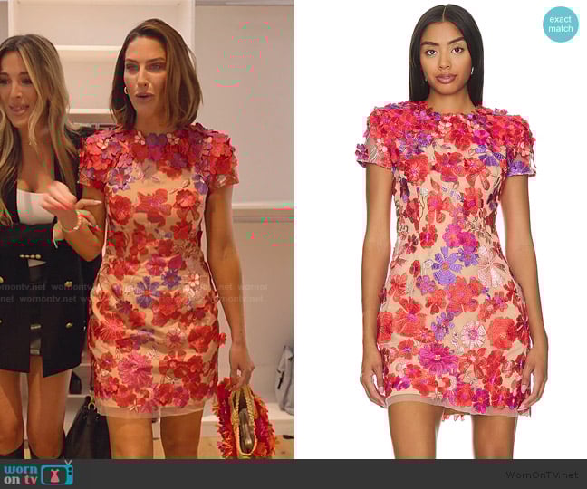 Elliatt Performance Dress worn by Polly Brindle (Polly Brindle) on Selling the OC