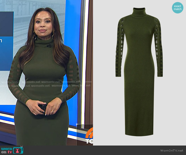 Esteban Cortazar Mesh Sleeve Dress in Olive worn by Adelle Caballero on Today