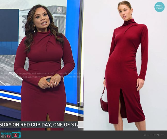 Fifteen Twenty Tasha Turtleneck Midi Dress worn by Adelle Caballero on Today