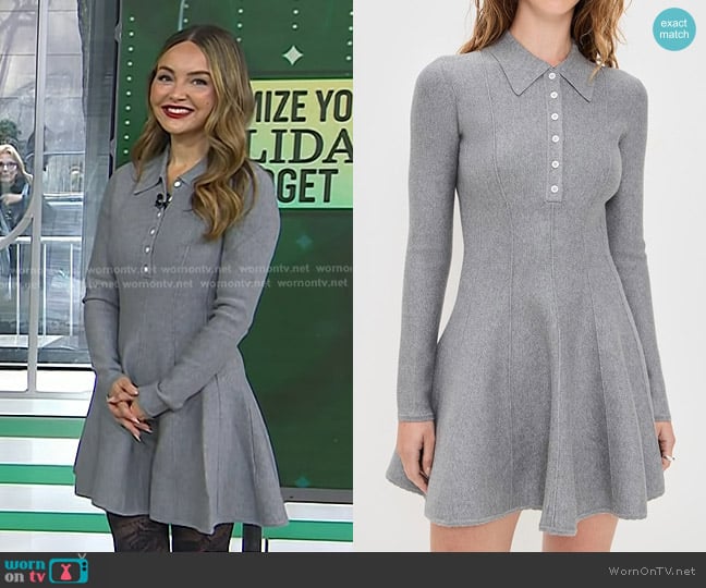 Fleur du Mal Henley Flared Corset Dress in Medium Heather Grey worn by Nicole Lapin on Today