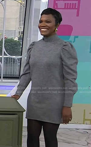 Jas Nicholas’s grey turtleneck sweater dress on Today