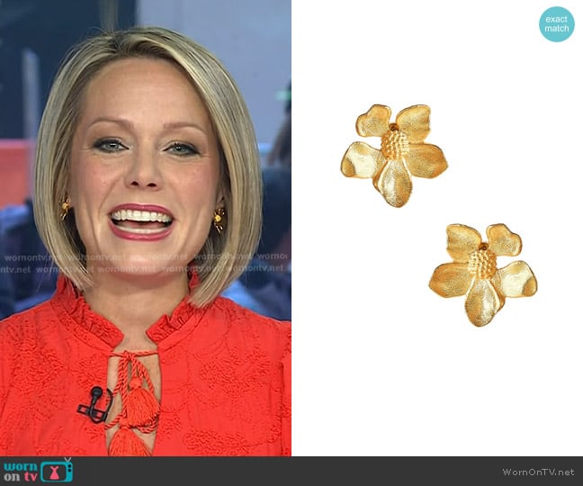 Lisi Lerch Tilly Stud worn by Dylan Dreyer on Today