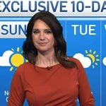 Maria's brown ruffle side sheath dress on Today