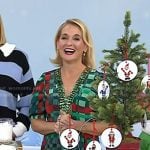 Meaghan Murphy’s green embellished check dress on Today