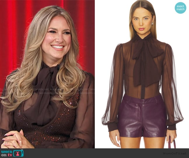 Nikki Novak’s brown mesh top on Access Hollywood Nikki Novak’s brown mesh top on Access Hollywood