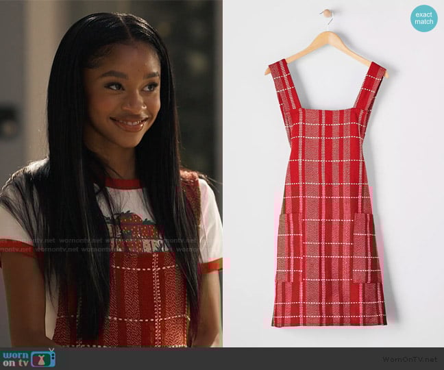 Sur La Table Table Plaid Smock Apron worn by Ashley Banks (Akira Akbar) on Bel-Air