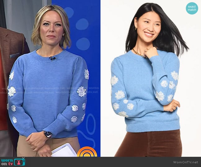 Talbots Embroidered Sleeve Sweater in Blue Wave Heather Multi worn by Dylan Dreyer on Today