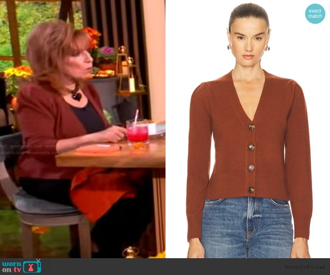 Joy’s brown cardigan on The View