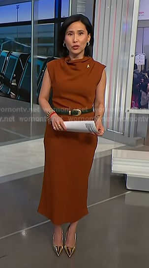 Vicky's brown belted dress on NBC News Daily