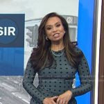 Adelle’s blue polka dot dress on Today