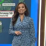 Adelle’s blue leopard print dress on Today