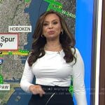 Adelle’s navy belted zip skirt on Today