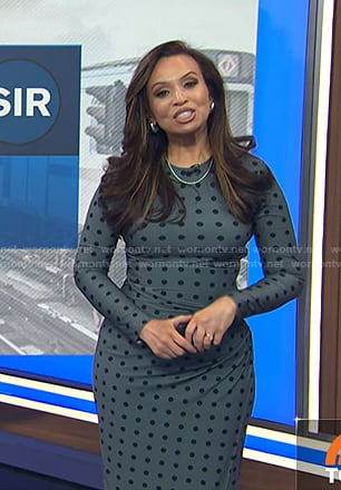 Adelle's blue polka dot dress on Today