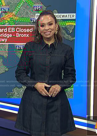 Adelle’s denim shirtdress on Today