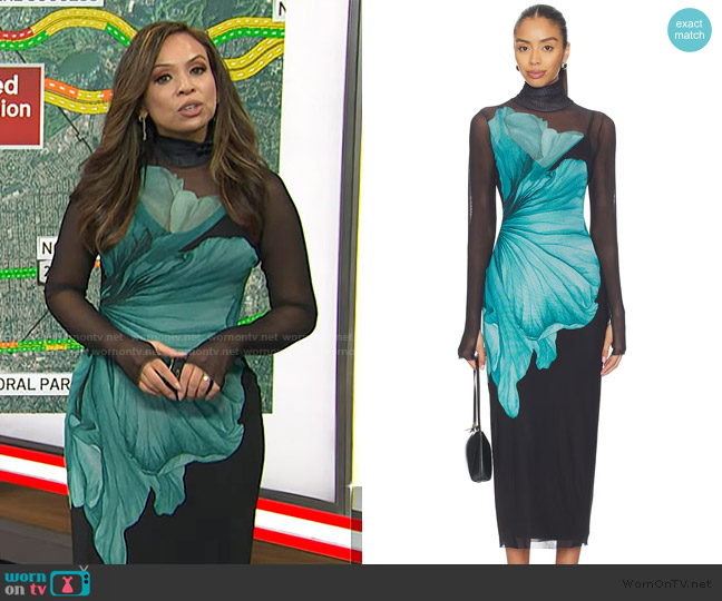 Adelle’s floral print mesh dress on Today