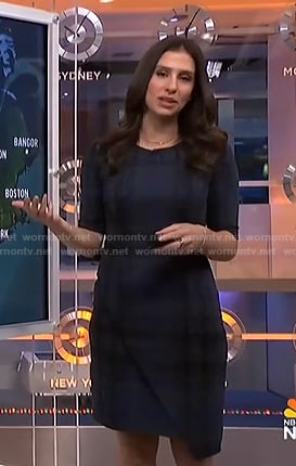 Angie Lassman’s blue plaid dress on NBC News Daily