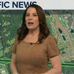 Heather O’Rourke’s beige suede dress on Good Morning America