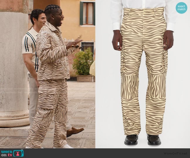 Blue Marble Zebra Print Pants worn by Julien (Samuel Arnold) on Emily in Paris
