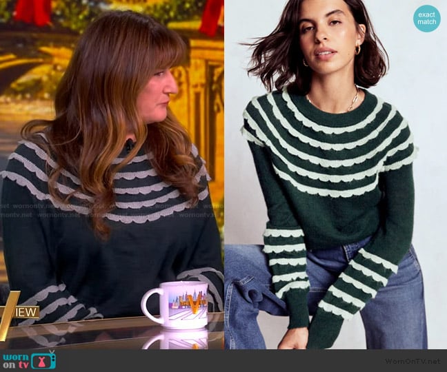 Boden Alice Fluffy Raglan Jumper worn by Ana Gasteyer on The View