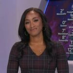 Brittany’s burgundy plaid dress on Good Morning America