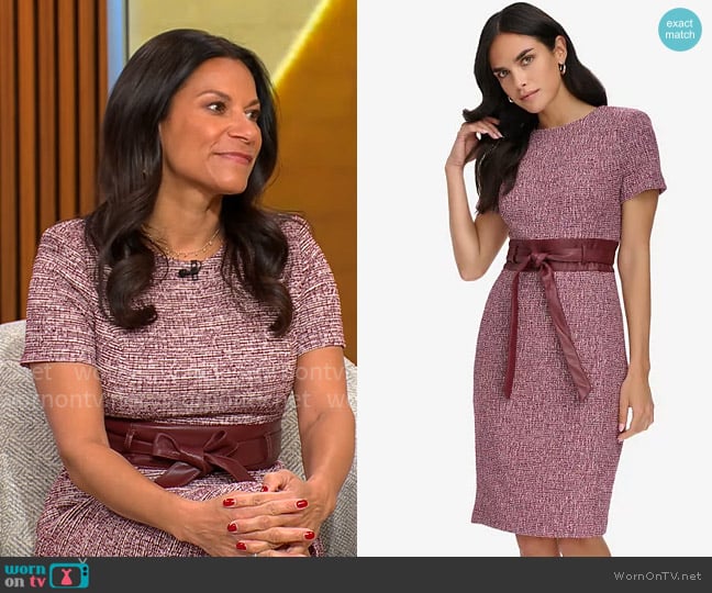 Calvin Klein Short Sleeve Sheath Dress in Rosewood / Cream worn by Dr Sheryl Gonzalez Ziegler on CBS Mornings
