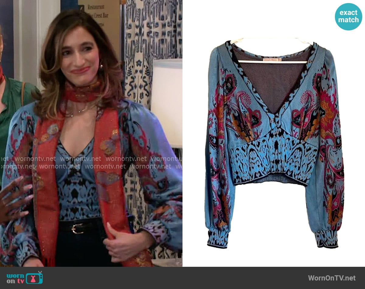 Cecilia Prado V Neck Blue and Red Blouse worn by Ashley Morgan (Jen Jacob) on Beyond the Gates