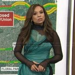 Adelle’s floral print mesh dress on Today