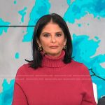 Darlene’s pink sweater dress on Today