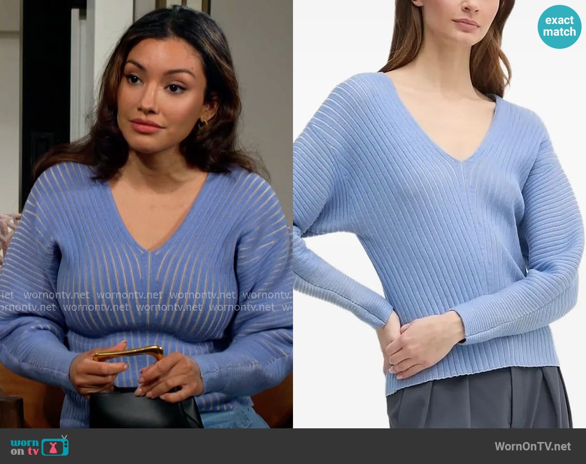 DKNY V-neck ribbed jumper worn by Audra Charles (Zuleyka Silver) on The Young and the Restless