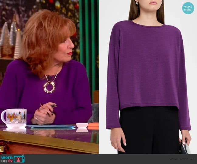 Eileen Fisher Boxy Crewneck Terry Pullover worn by Joy Behar on The View
