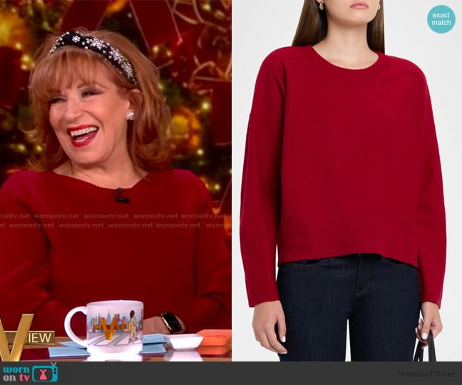 Joy’s red sweater on The View